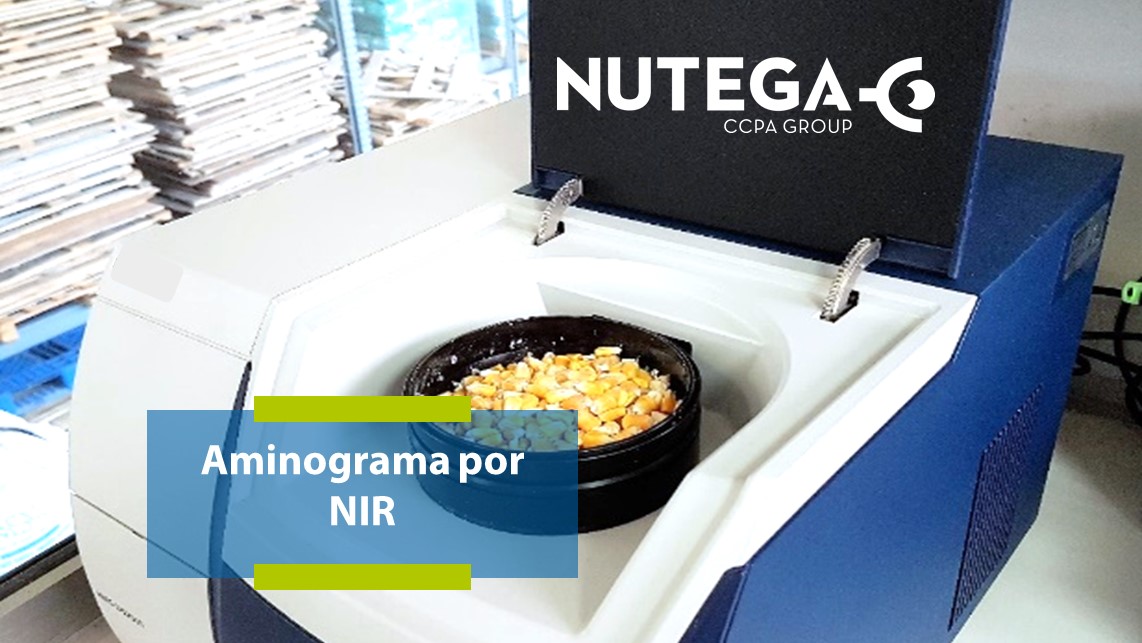 Aminograma NIR