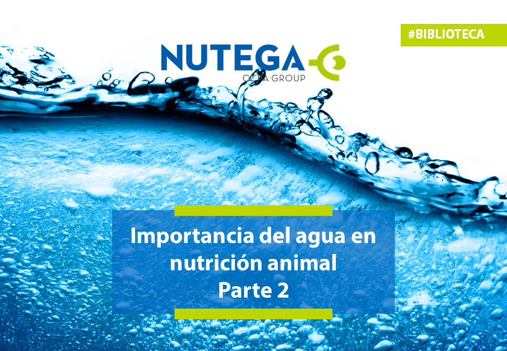 Importancia del agua en nutrición animal. Parte 2 - NUTEGA