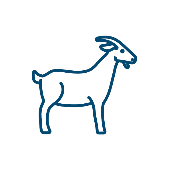 Pictos_Espèces_Chèvre_Bleu