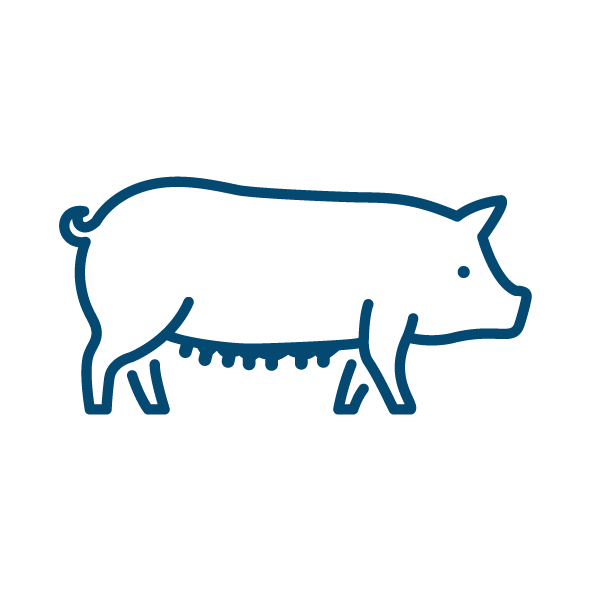 Pictos_Espèces_Truie_Bleu