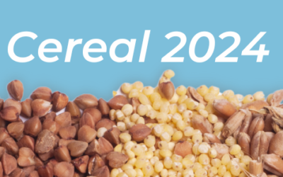 Informe de Cereal 2024