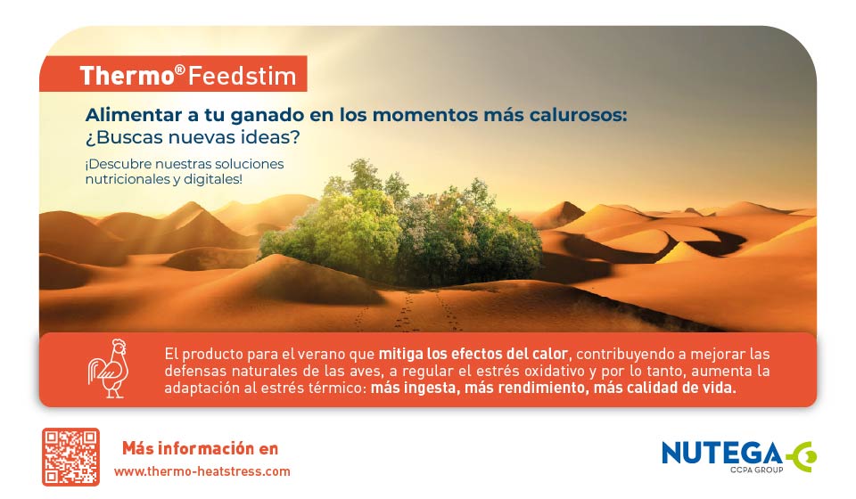 BANNER WEB ANUNCIOS THERMO-02