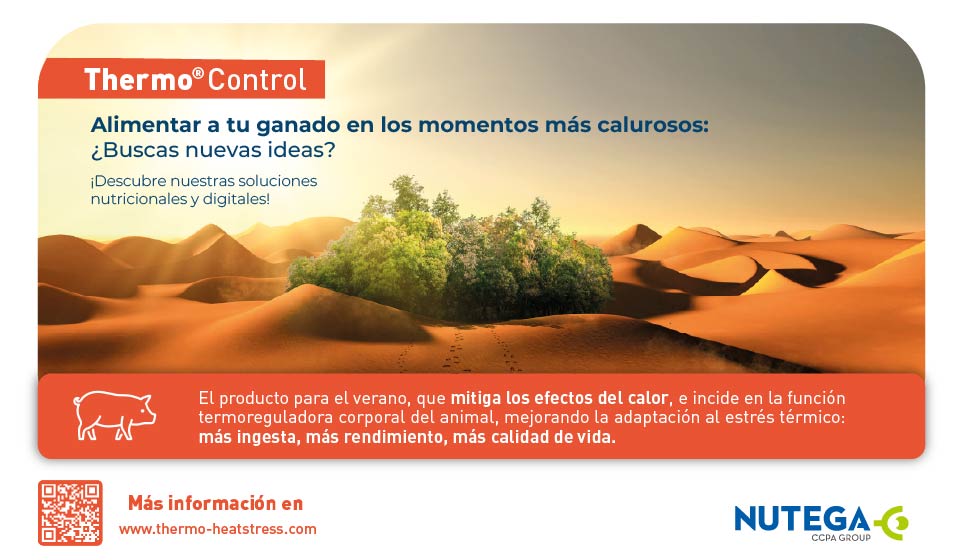 BANNER WEB ANUNCIOS THERMO_Mesa de trabajo 1