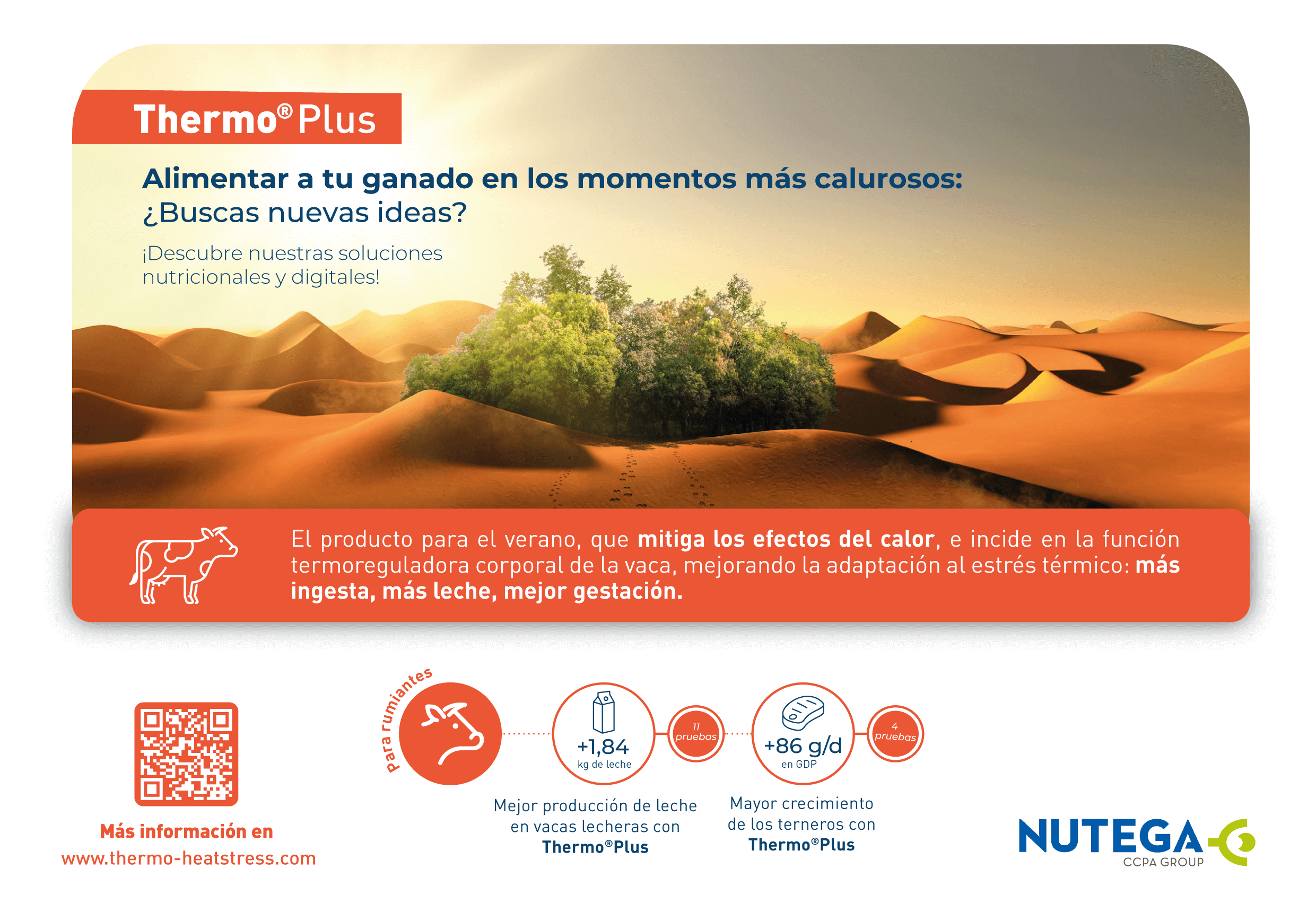 Banner ThermoPlus