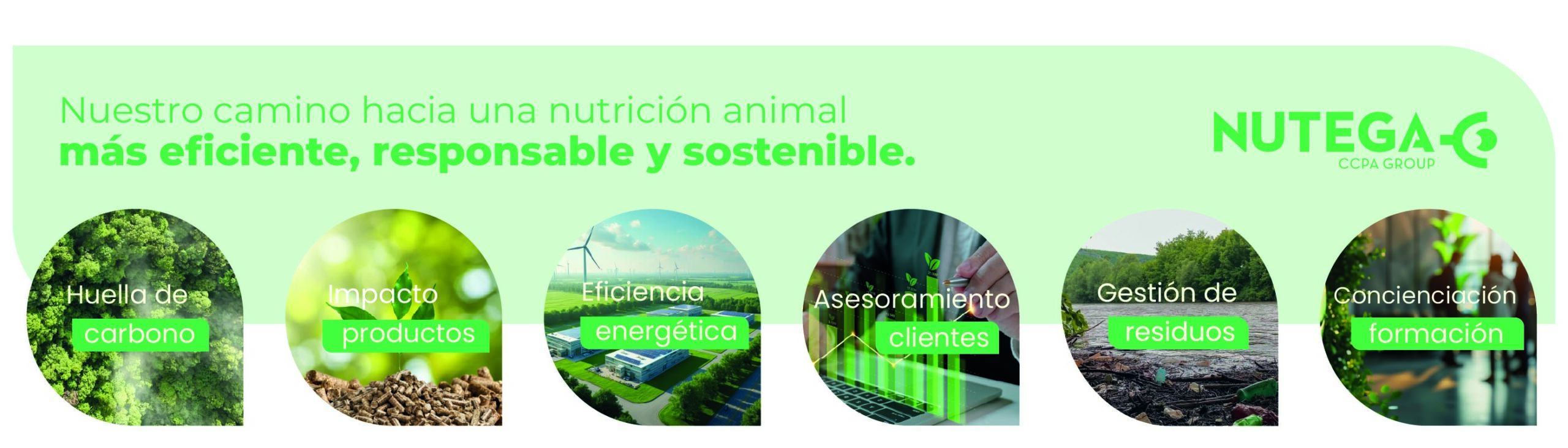 Estrategias para una nutrición animal más eficiente, responsable y sostenible
